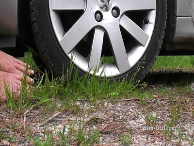 Car Crushing With One Arm And The Two Hands With Front And Rear Wheels